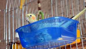 Как да се къпем ъгъла